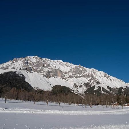 Adlernest Apartment Ramsau am Dachstein Ngoại thất bức ảnh