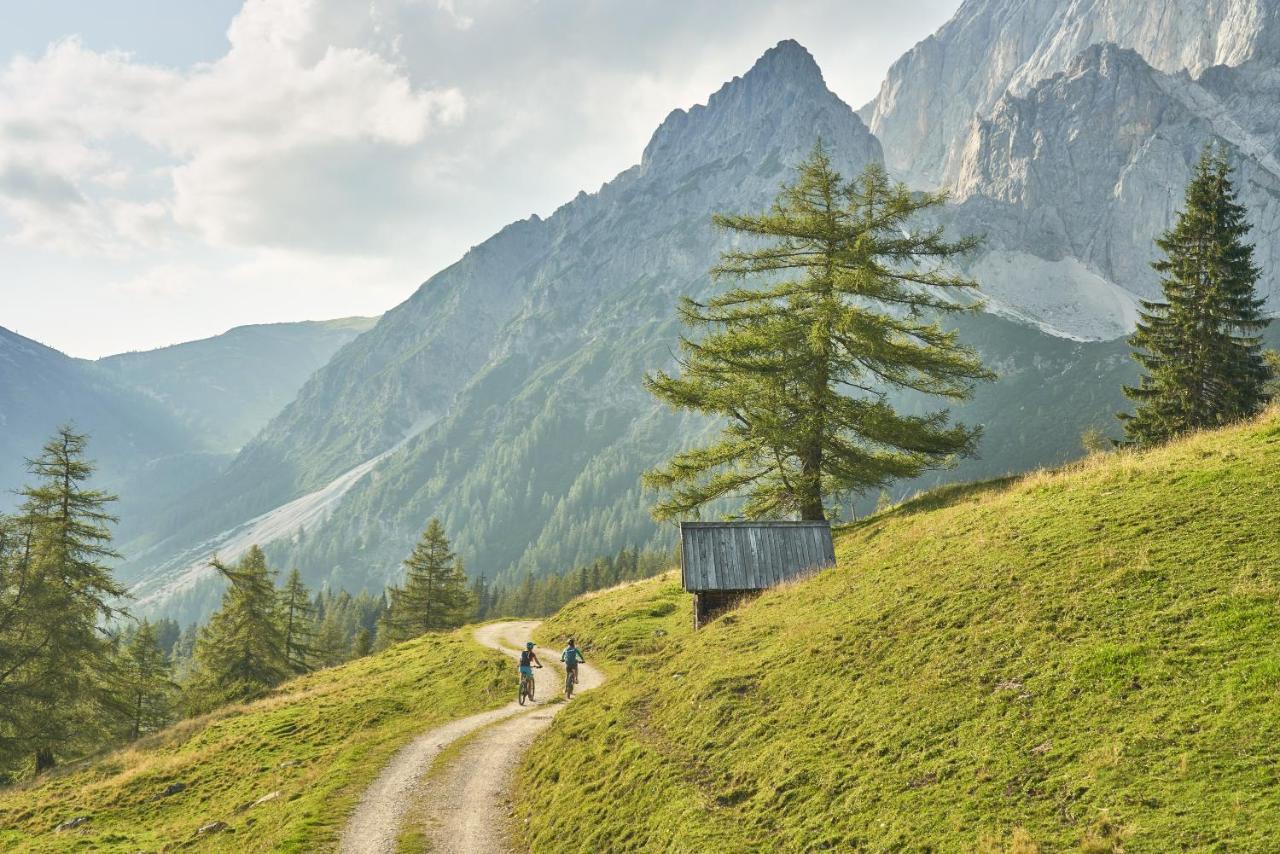 Adlernest Apartment Ramsau am Dachstein Ngoại thất bức ảnh