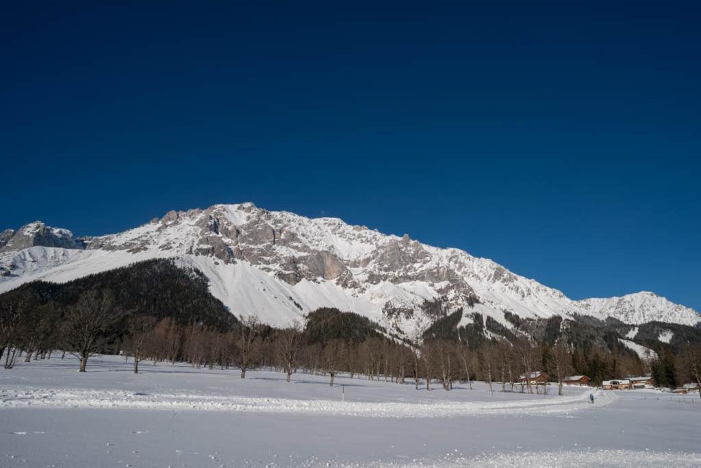 Adlernest Apartment Ramsau am Dachstein Ngoại thất bức ảnh